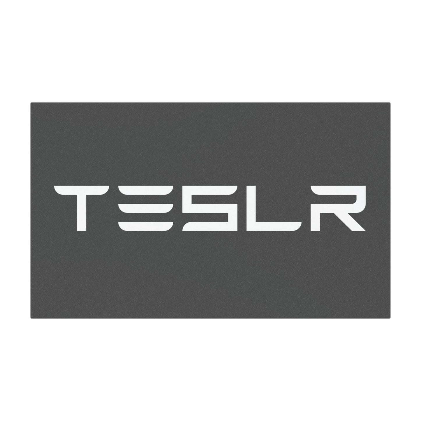 TESLR Defense System™ Magnets - The Official Unofficial Spelling for Concerned Tesla Owners