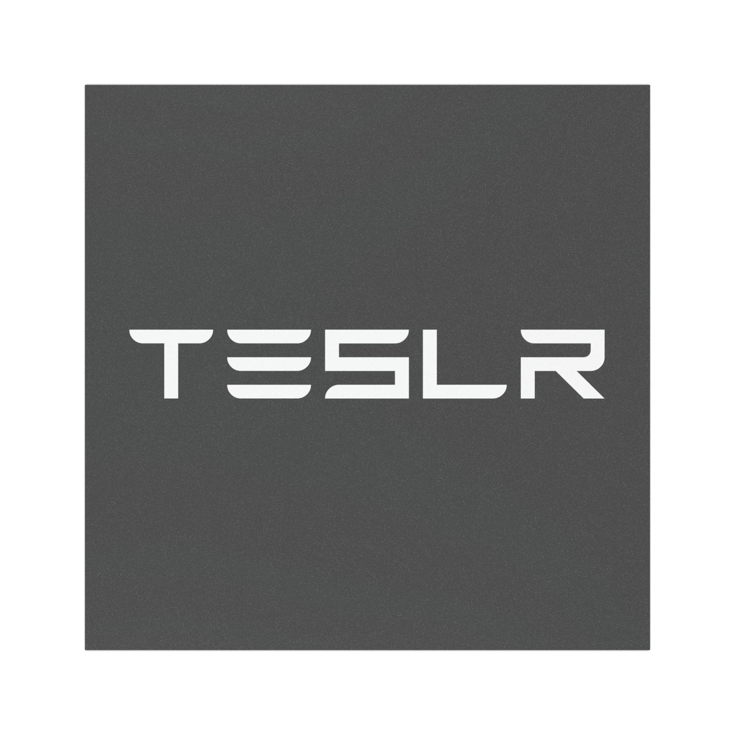 TESLR Defense System™ Magnets - The Official Unofficial Spelling for Concerned Tesla Owners