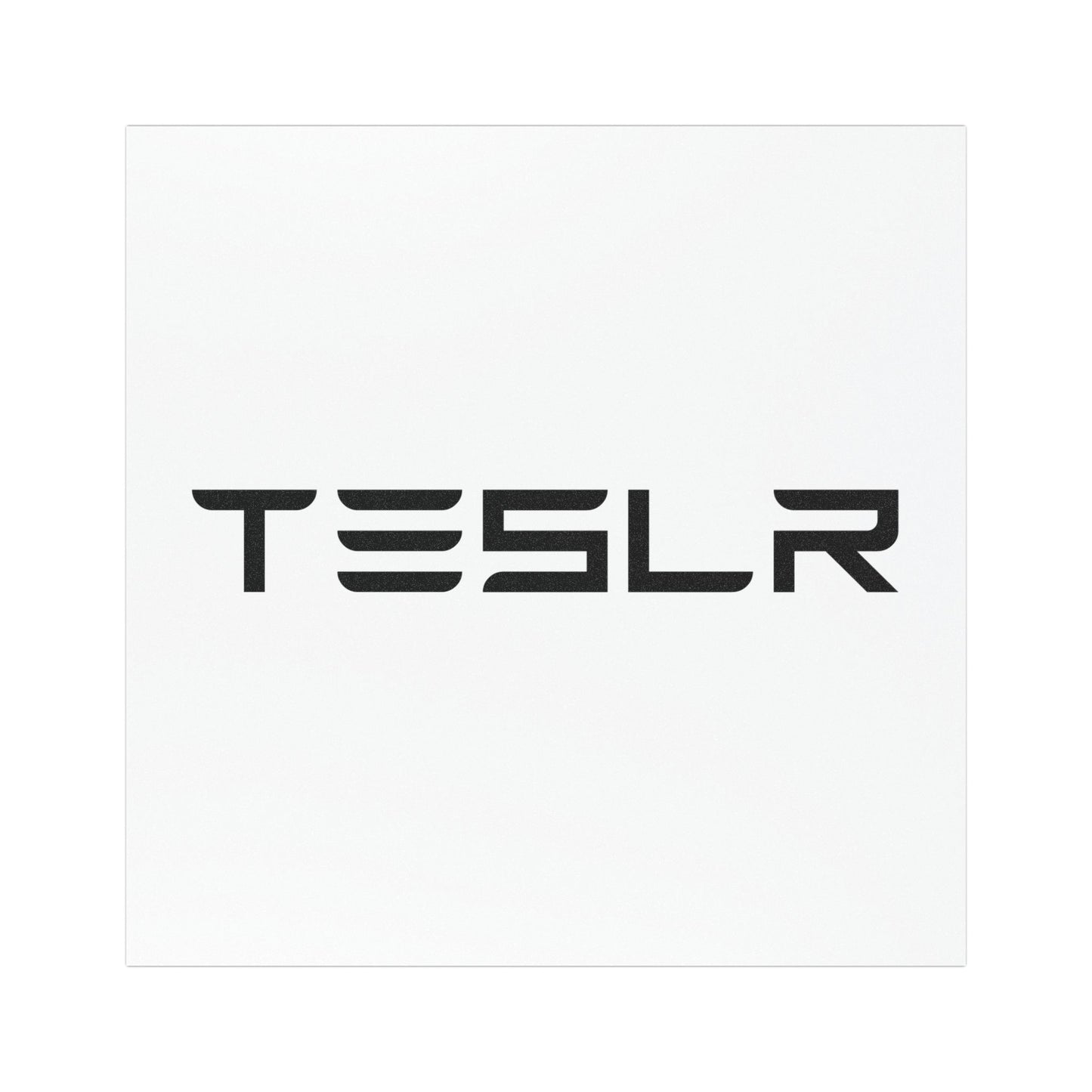 TESLR Defense System™ Magnets - The Official Unofficial Spelling for Concerned Tesla Owners