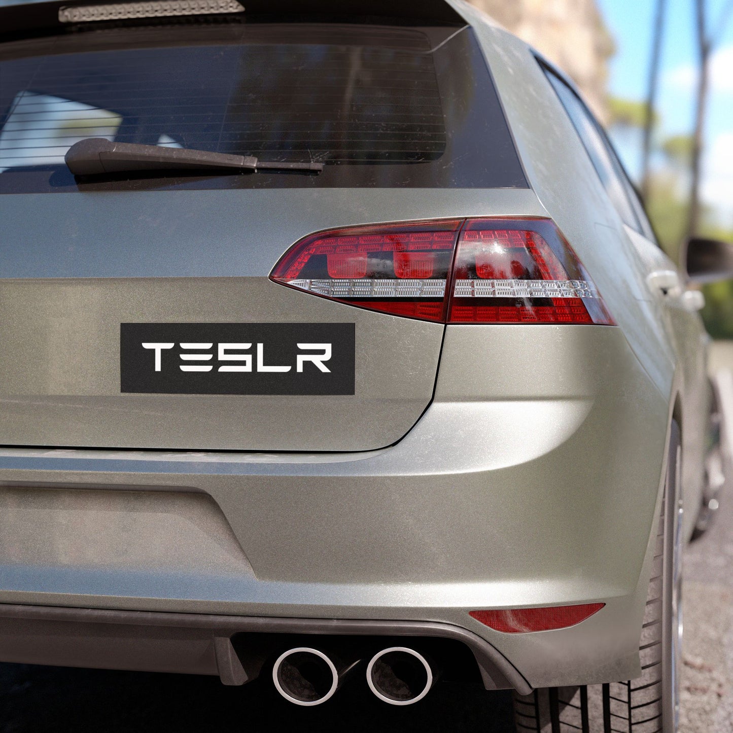 TESLR Defense System™ Magnets - The Official Unofficial Spelling for Concerned Tesla Owners
