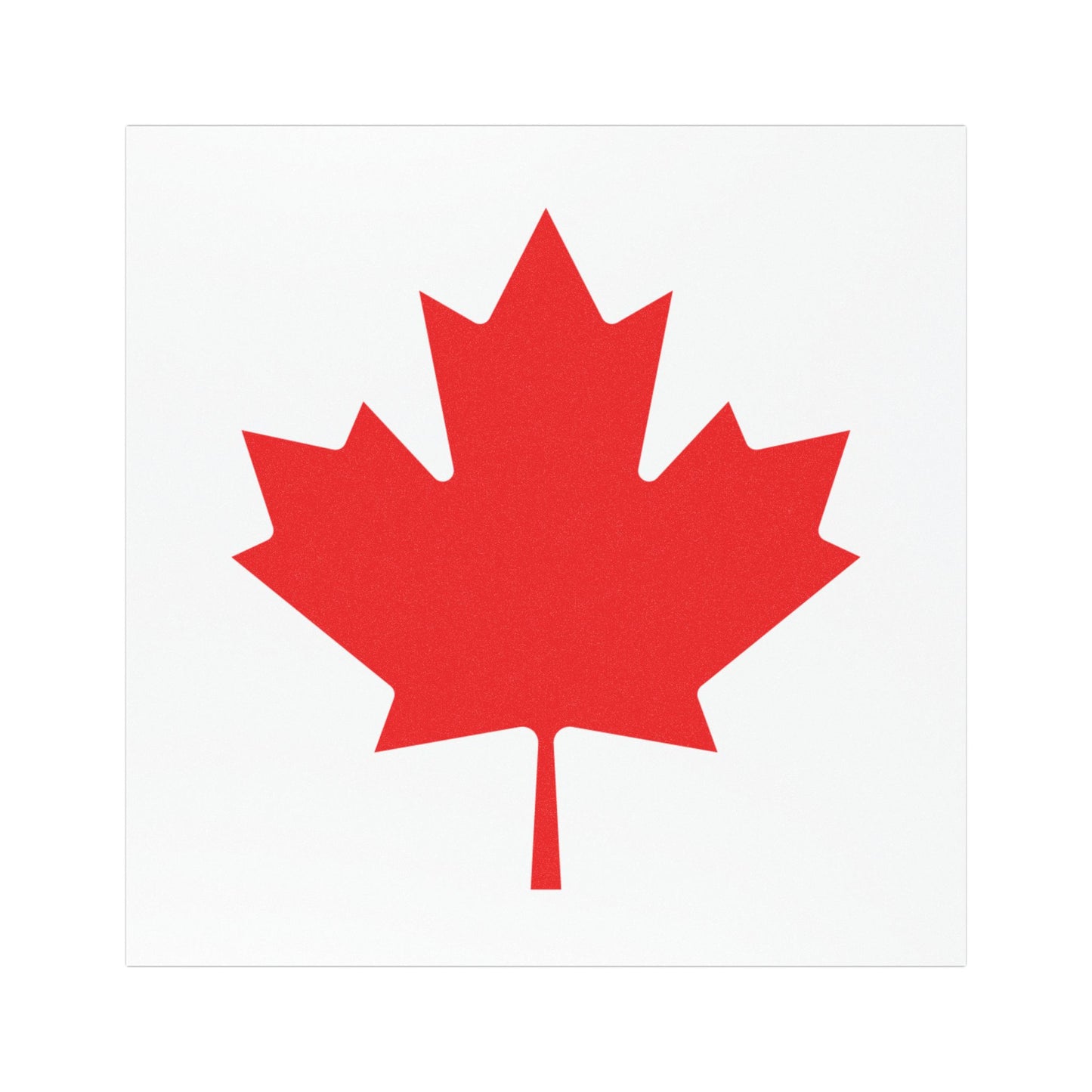 Northern Camouflage System™ Magnet - Instant Canadian Citizenship for Your TESLR