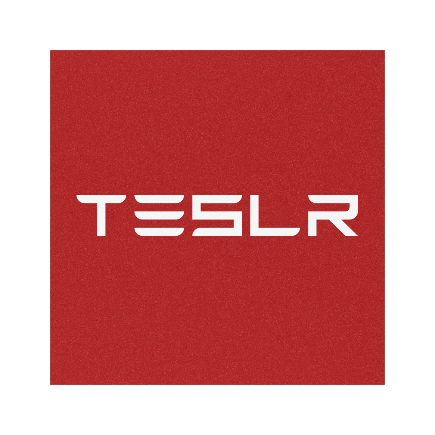 TESLR Defense System™ Magnets - The Official Unofficial Spelling for Concerned Tesla Owners