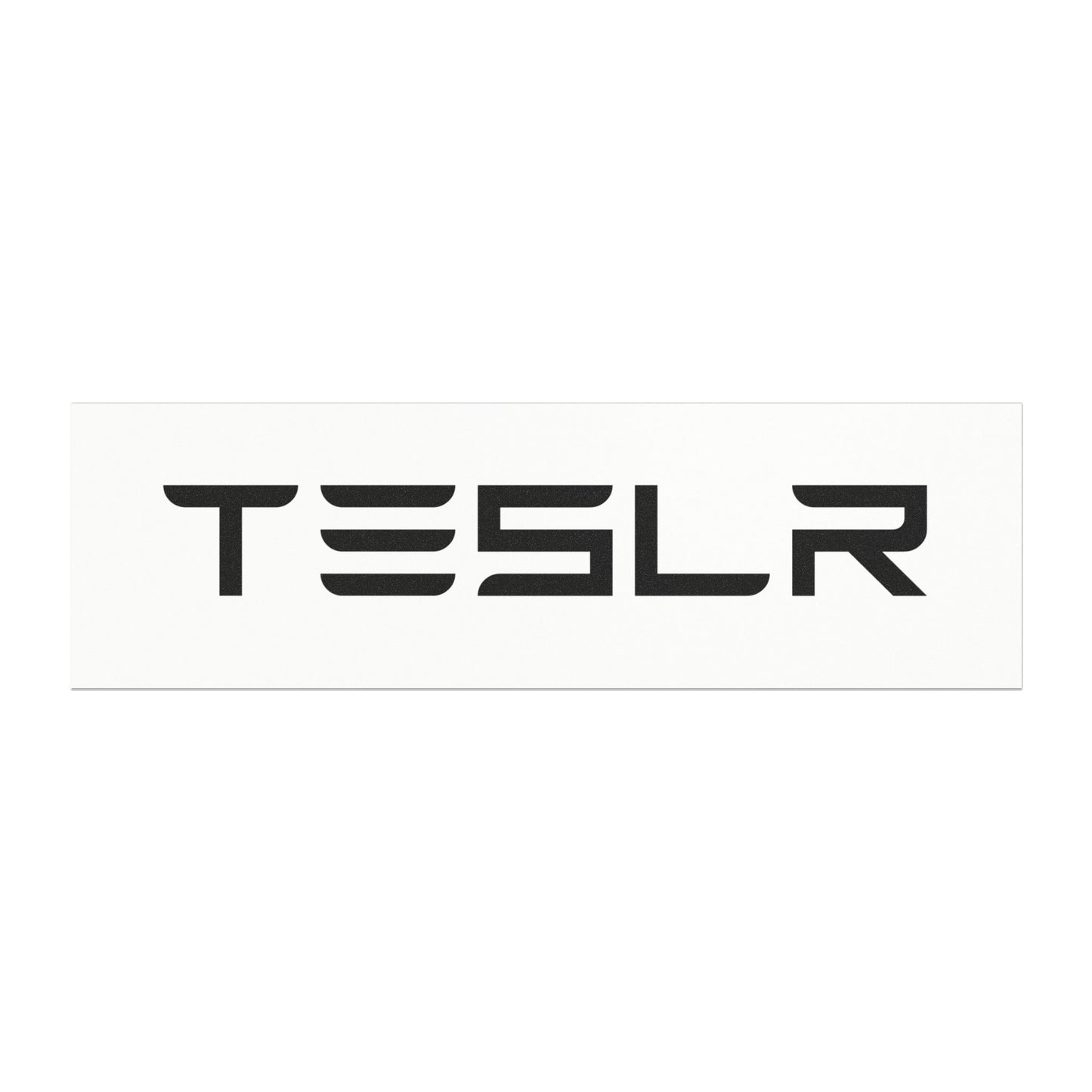 TESLR Defense System™ Magnets - The Official Unofficial Spelling for Concerned Tesla Owners