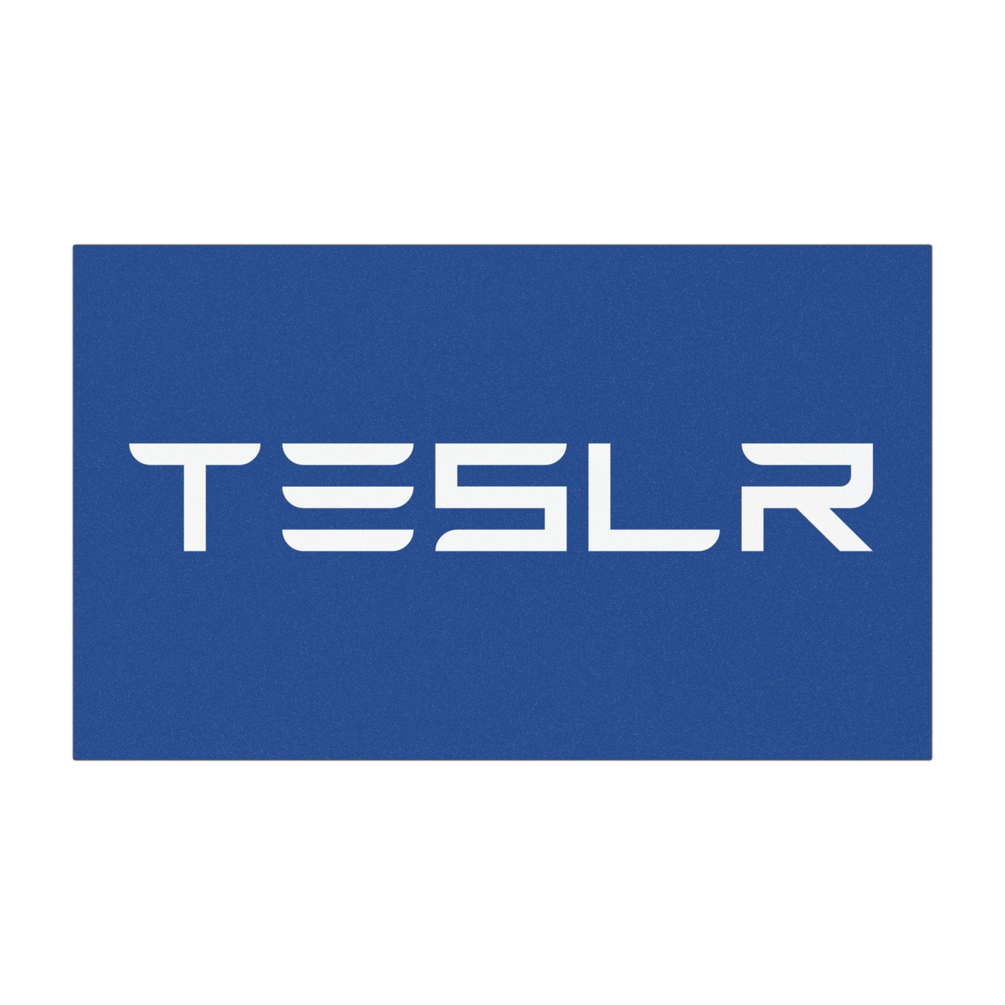 TESLR Defense System™ Magnets - The Official Unofficial Spelling for Concerned Tesla Owners