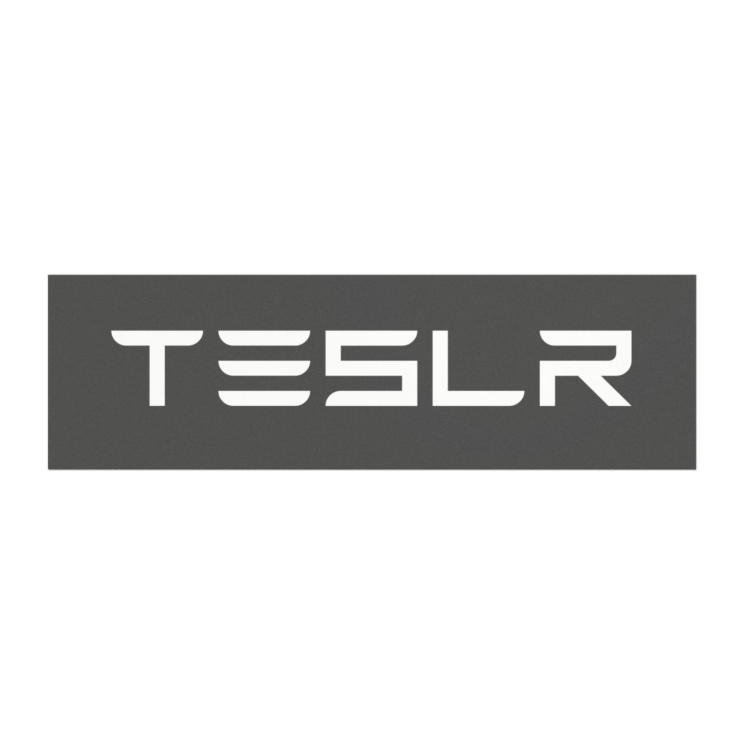 TESLR Defense System™ Magnets - The Official Unofficial Spelling for Concerned Tesla Owners