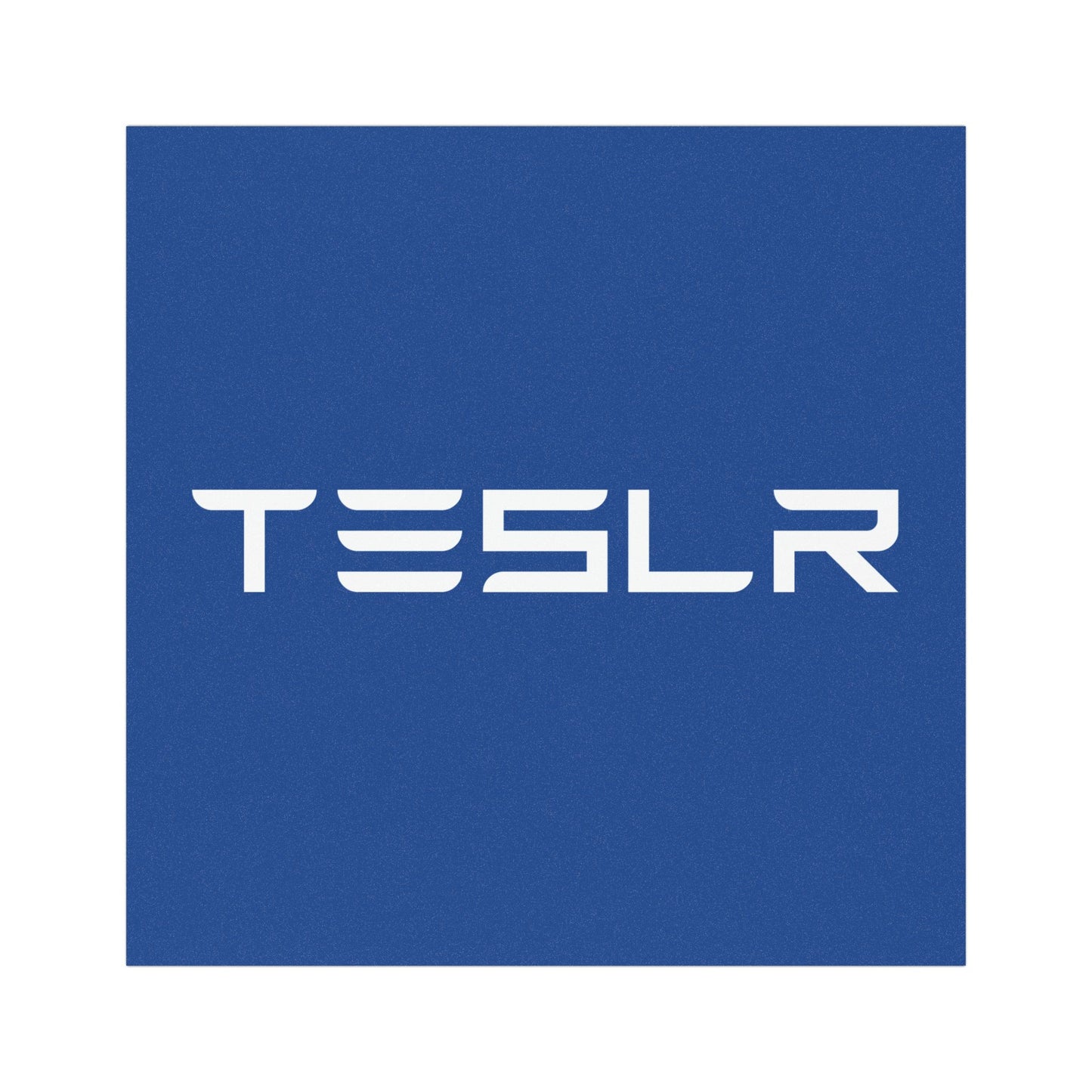 TESLR Defense System™ Magnets - The Official Unofficial Spelling for Concerned Tesla Owners
