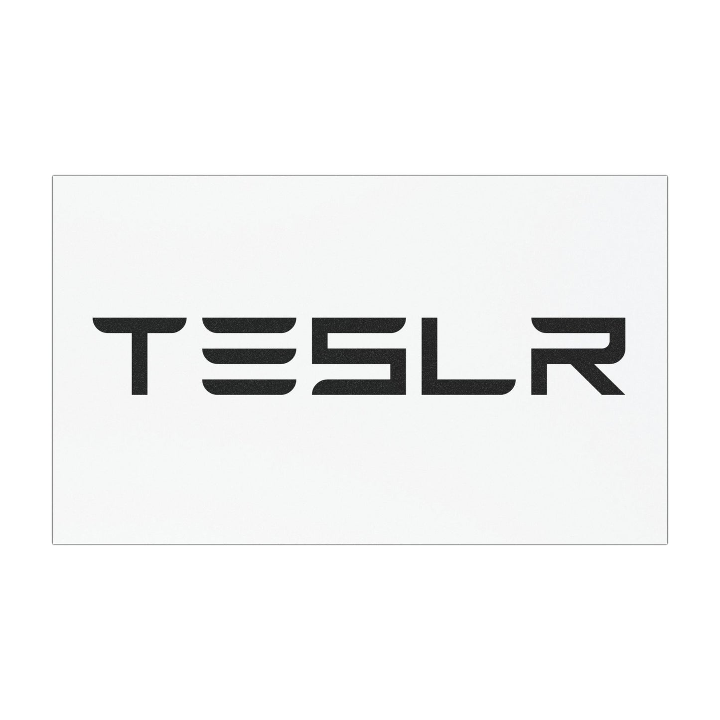 TESLR Defense System™ Magnets - The Official Unofficial Spelling for Concerned Tesla Owners