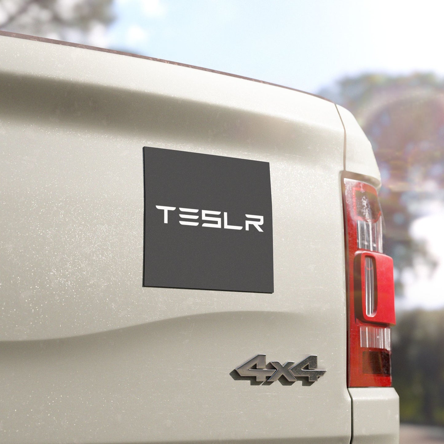 TESLR Defense System™ Magnets - The Official Unofficial Spelling for Concerned Tesla Owners