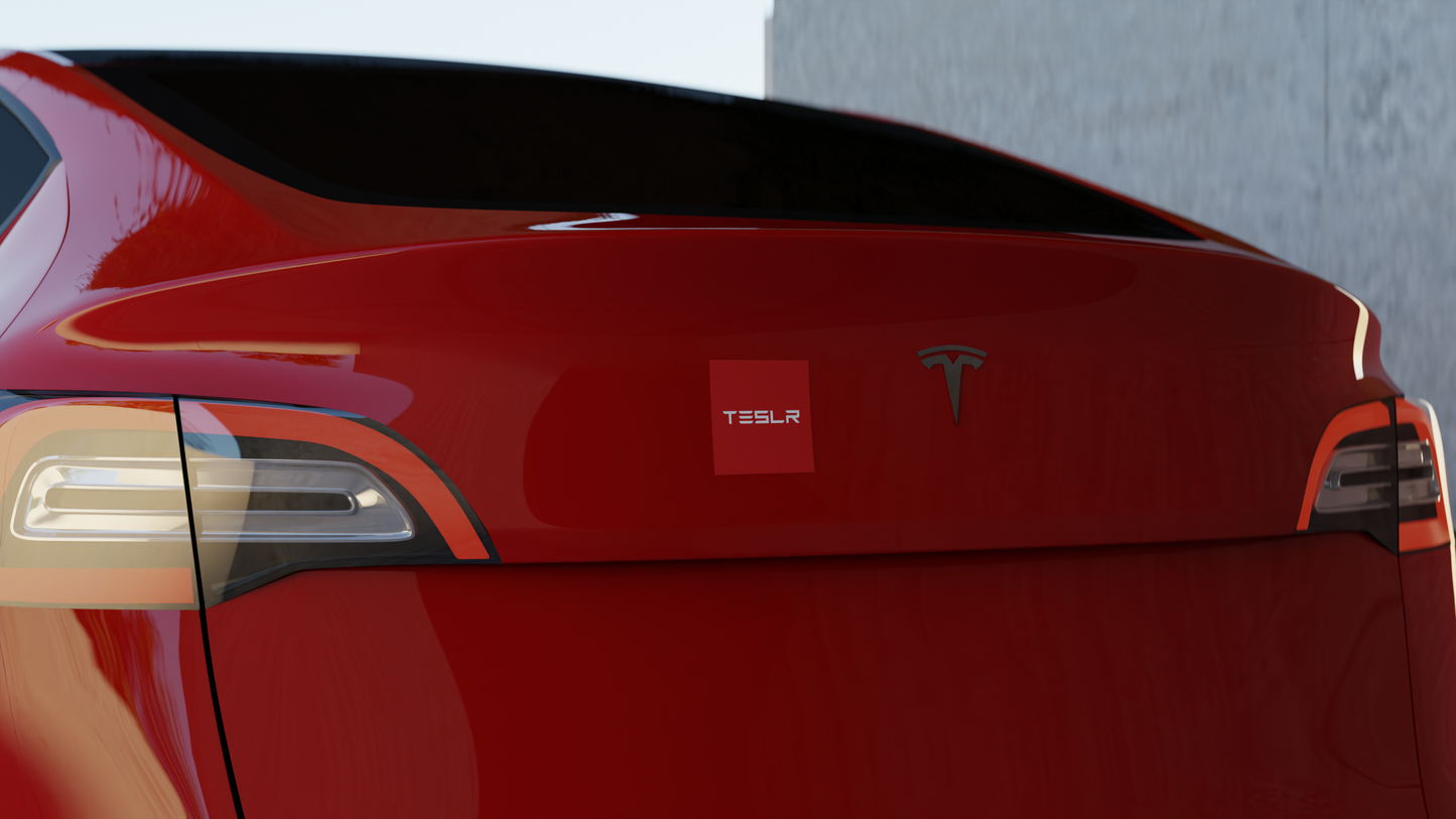 TESLR Defense System™ Magnets - The Official Unofficial Spelling for Concerned Tesla Owners