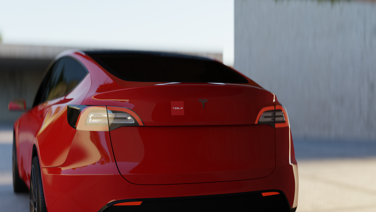 TESLR Defense System™ Magnets - The Official Unofficial Spelling for Concerned Tesla Owners