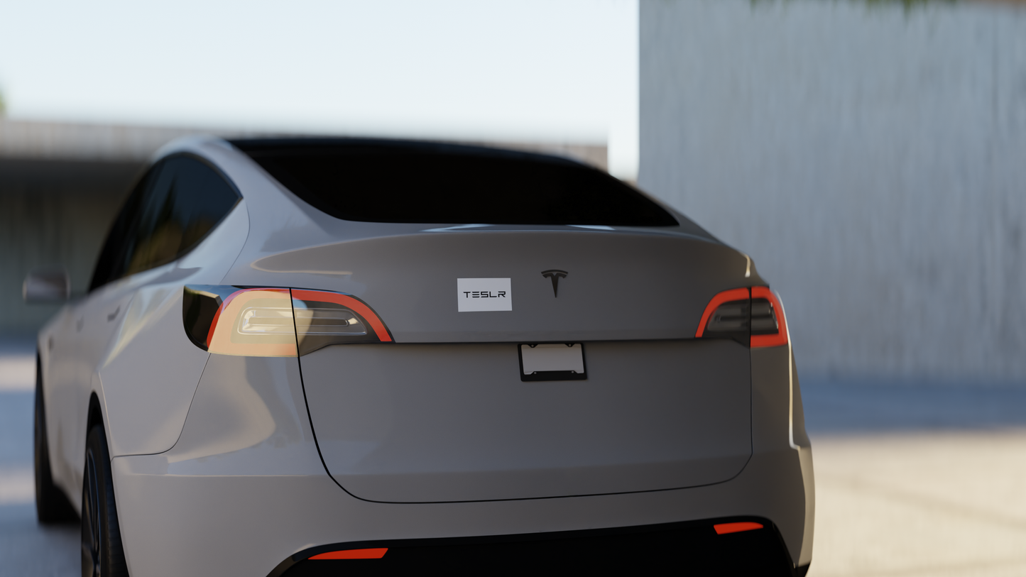 TESLR Defense System™ Magnets - The Official Unofficial Spelling for Concerned Tesla Owners