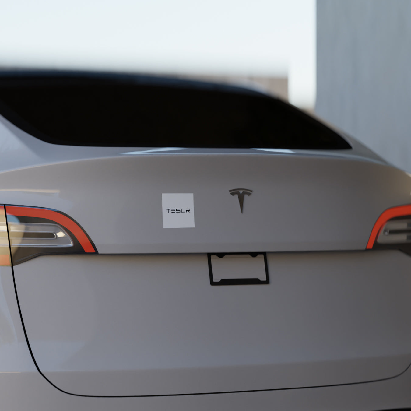 TESLR Defense System™ Magnets - The Official Unofficial Spelling for Concerned Tesla Owners